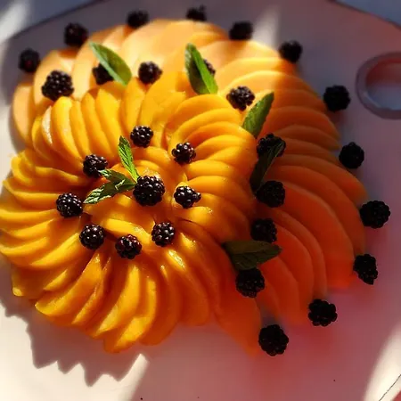 La Moliere Haute Dom wakacyjny Plaisance (Aveyron)