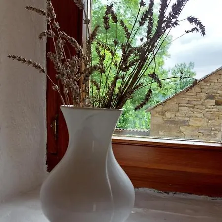 La Moliere Haute Plaisance (Aveyron)