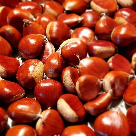 La Moliere Haute Prázdninový dům *