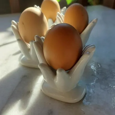 Prázdninový dům La Moliere Haute *