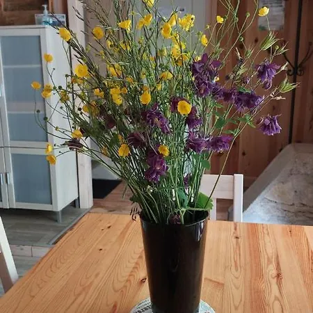 La Moliere Haute * Plaisance (Aveyron)