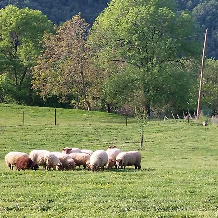 La Moliere Haute Semesterbostad *