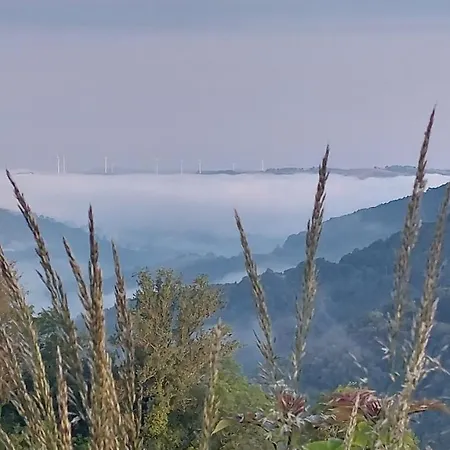 La Moliere Haute * Plaisance (Aveyron)