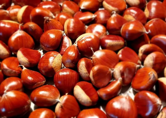 La Molière Haute Hébergement de vacances *