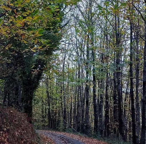 La Molière Haute Hébergement de vacances