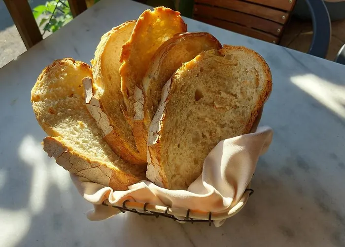 Hébergement de vacances La Molière Haute *