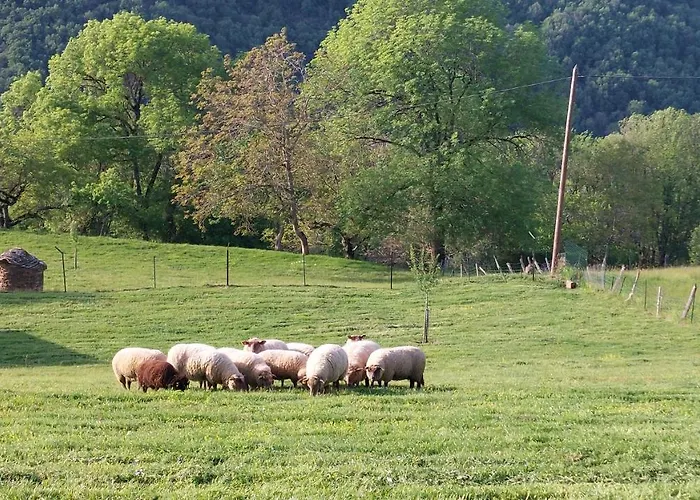 La Molière Haute Hébergement de vacances *