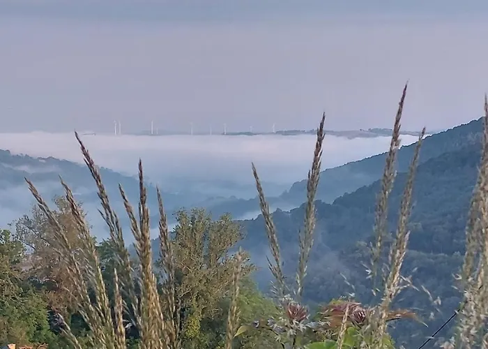 La Molière Haute * Plaisance (Aveyron)
